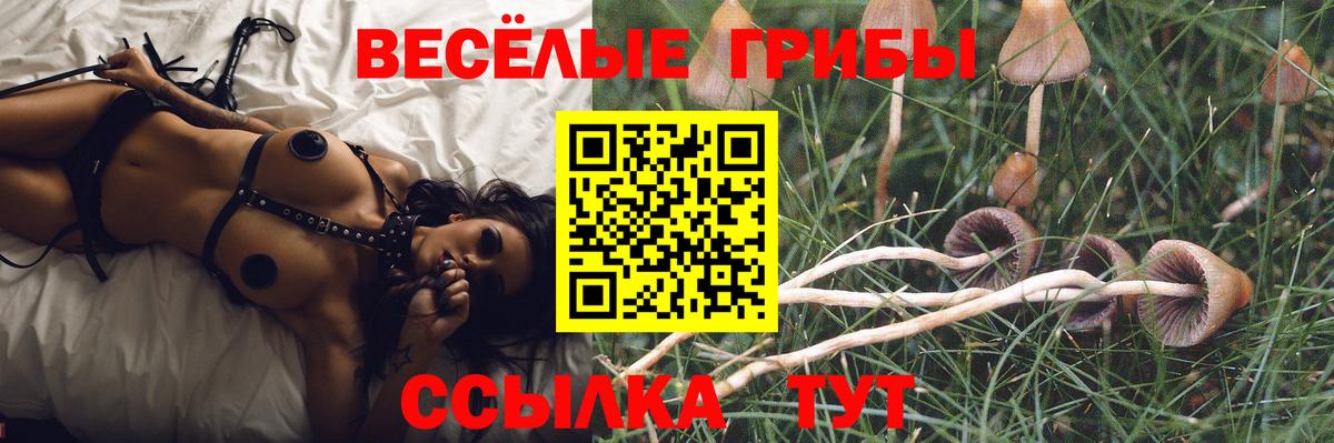 Галлюциногенные грибы прущие грибы  Вход с VPN  Нововоронеж 